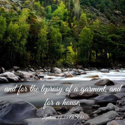 Picture 03 - Leviticus 14:55 ASV - and for the leprosy of a garment, and for a - Bible Verse Picture