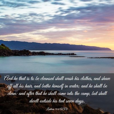 Picture 03 - Leviticus 14:8 ASV - And he that is to be cleansed shall wash his - Bible Verse Picture