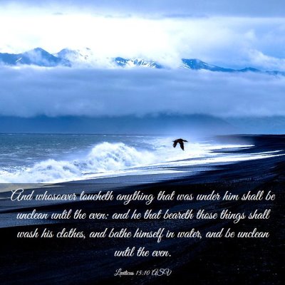 Picture 03 - Leviticus 15:10 ASV - And whosoever toucheth anything that was under - Bible Verse Picture