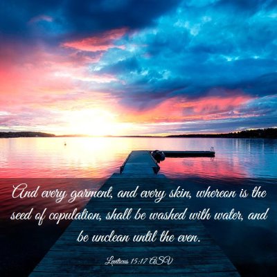 Picture 03 - Leviticus 15:17 ASV - And every garment, and every skin, whereon is the - Bible Verse Picture