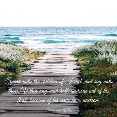 Picture 03 - Leviticus 15:2 ASV - Speak unto the children of Israel, and say unto - Bible Verse Picture