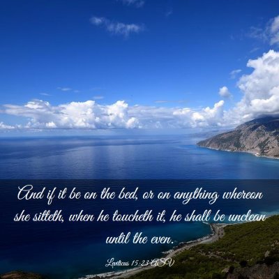 Picture 03 - Leviticus 15:23 ASV - And if it be on the bed, or on anything whereon - Bible Verse Picture
