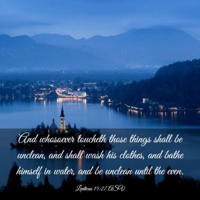 Picture 03 - Leviticus 15:27 ASV - And whosoever toucheth those things shall be - Bible Verse Picture