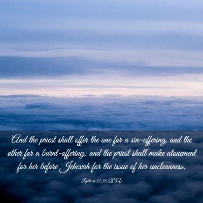 Picture 03 - Leviticus 15:30 ASV - And the priest shall offer the one for a - Bible Verse Picture