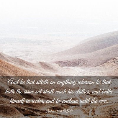 Picture 03 - Leviticus 15:6 ASV - And he that sitteth on anything whereon he that - Bible Verse Picture