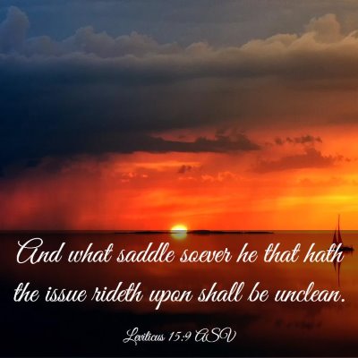 Picture 03 - Leviticus 15:9 ASV - And what saddle soever he that hath the issue - Bible Verse Picture