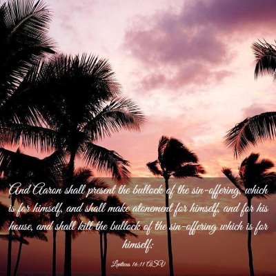 Picture 03 - Leviticus 16:11 ASV - And Aaron shall present the bullock of the - Bible Verse Picture