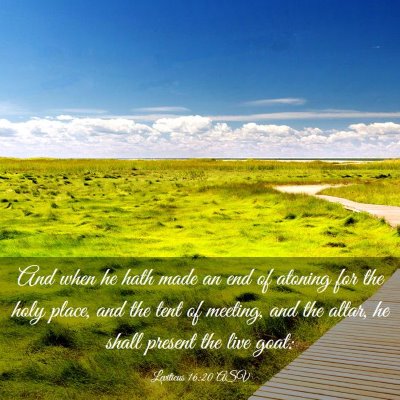Picture 03 - Leviticus 16:20 ASV - And when he hath made an end of atoning for the - Bible Verse Picture