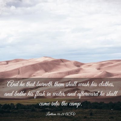 Picture 03 - Leviticus 16:28 ASV - And he that burneth them shall wash his clothes, - Bible Verse Picture