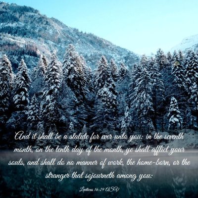 Picture 03 - Leviticus 16:29 ASV - And it shall be a statute for ever unto you: in - Bible Verse Picture