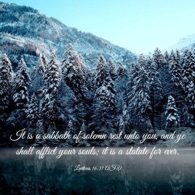 Picture 03 - Leviticus 16:31 ASV - It is a sabbath of solemn rest unto you, and ye - Bible Verse Picture