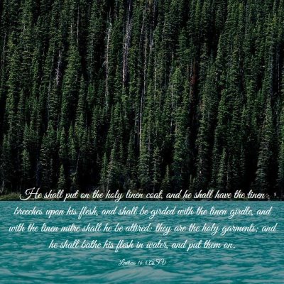 Picture 03 - Leviticus 16:4 ASV - He shall put on the holy linen coat, and he shall - Bible Verse Picture