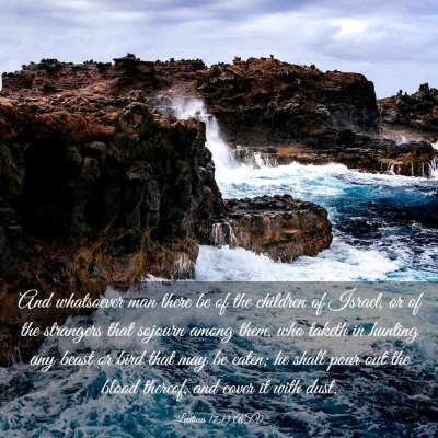 Picture 03 - Leviticus 17:13 ASV - And whatsoever man there be of the children of - Bible Verse Picture