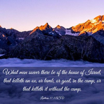 Picture 03 - Leviticus 17:3 ASV - What man soever there be of the house of Israel, - Bible Verse Picture