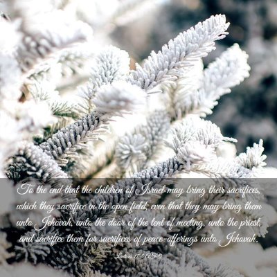 Picture 03 - Leviticus 17:5 ASV - To the end that the children of Israel may bring - Bible Verse Picture