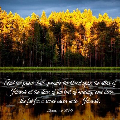 Picture 03 - Leviticus 17:6 ASV - And the priest shall sprinkle the blood upon the - Bible Verse Picture