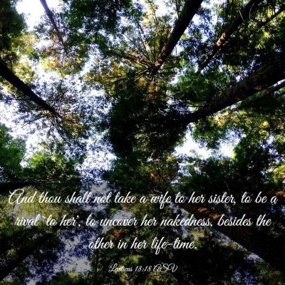 Picture 03 - Leviticus 18:18 ASV - And thou shalt not take a wife to her sister, to - Bible Verse Picture