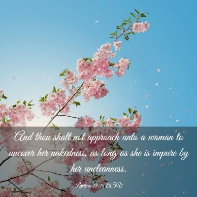 Picture 03 - Leviticus 18:19 ASV - And thou shalt not approach unto a woman to - Bible Verse Picture