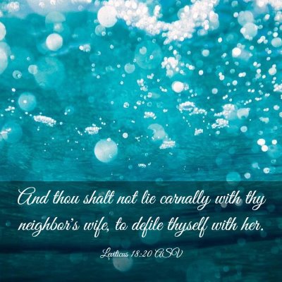 Picture 03 - Leviticus 18:20 ASV - And thou shalt not lie carnally with thy - Bible Verse Picture