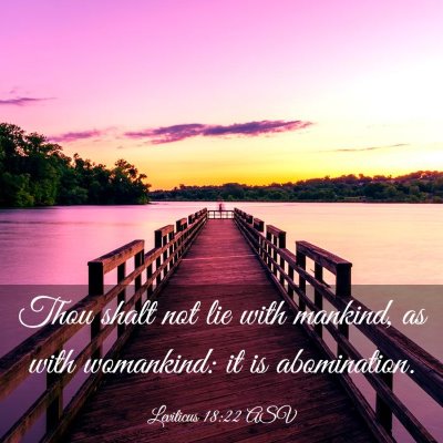 Picture 03 - Leviticus 18:22 ASV - Thou shalt not lie with mankind, as with - Bible Verse Picture