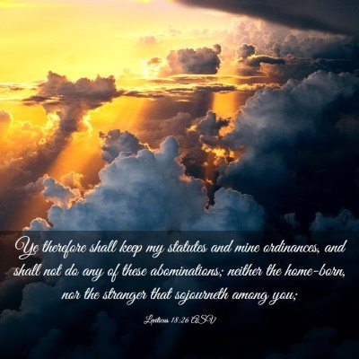 Picture 03 - Leviticus 18:26 ASV - Ye therefore shall keep my statutes and mine - Bible Verse Picture