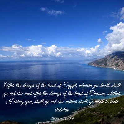 Picture 03 - Leviticus 18:3 ASV - After the doings of the land of Egypt, wherein ye - Bible Verse Picture