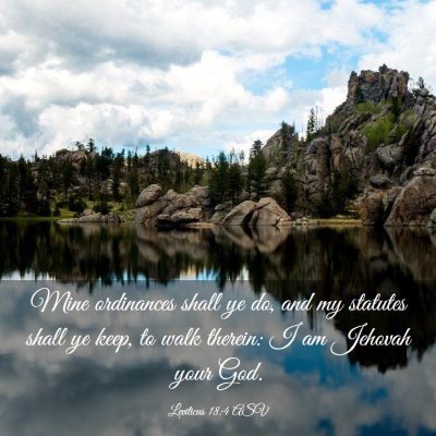 Picture 03 - Leviticus 18:4 ASV - Mine ordinances shall ye do, and my statutes - Bible Verse Picture