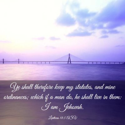 Picture 03 - Leviticus 18:5 ASV - Ye shall therefore keep my statutes, and mine - Bible Verse Picture