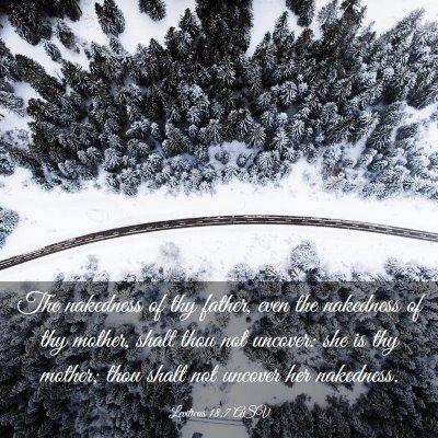 Picture 03 - Leviticus 18:7 ASV - The nakedness of thy father, even the nakedness - Bible Verse Picture