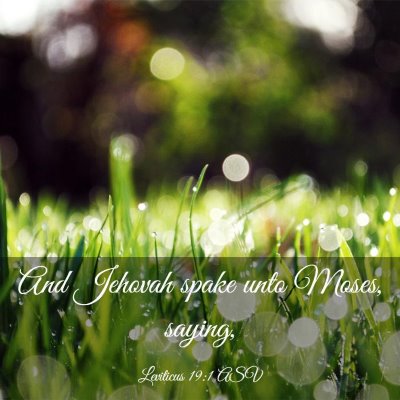 Picture 03 - Leviticus 19:1 ASV - And Jehovah spake unto Moses, - Bible Verse Picture