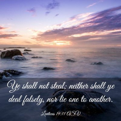 Picture 03 - Leviticus 19:11 ASV - Ye shall not steal; neither shall ye deal - Bible Verse Picture