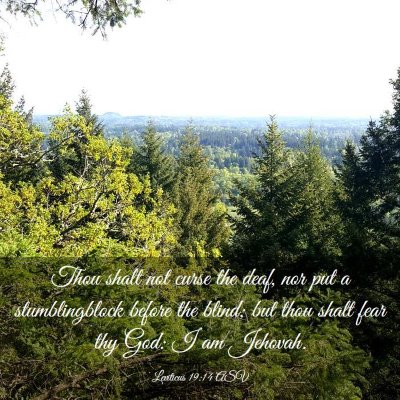 Picture 03 - Leviticus 19:14 ASV - Thou shalt not curse the deaf, nor put a - Bible Verse Picture