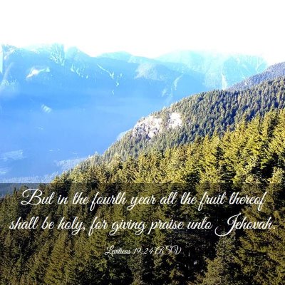 Picture 03 - Leviticus 19:24 ASV - But in the fourth year all the fruit thereof - Bible Verse Picture