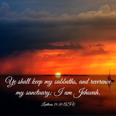 Picture 03 - Leviticus 19:30 ASV - Ye shall keep my sabbaths, and reverence my - Bible Verse Picture