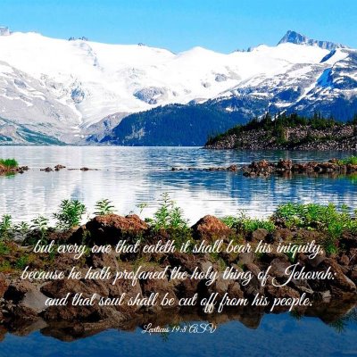 Picture 03 - Leviticus 19:8 ASV - but every one that eateth it shall bear his - Bible Verse Picture