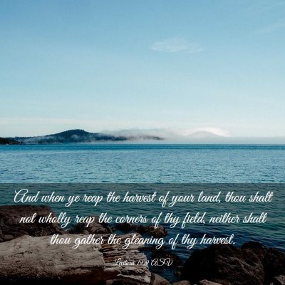 Picture 03 - Leviticus 19:9 ASV - And when ye reap the harvest of your land, thou - Bible Verse Picture