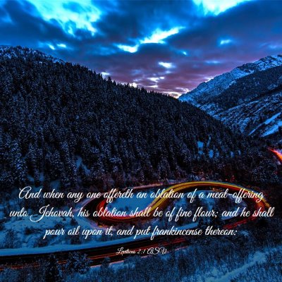 Picture 03 - Leviticus 2:1 ASV - And when any one offereth an oblation of a - Bible Verse Picture