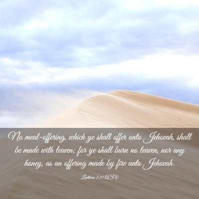 Picture 03 - Leviticus 2:11 ASV - No meal-offering, which ye shall offer unto - Bible Verse Picture