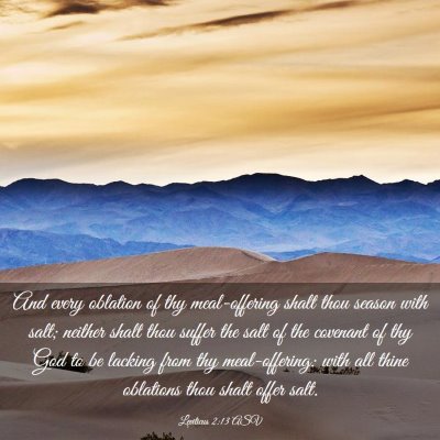 Picture 03 - Leviticus 2:13 ASV - And every oblation of thy meal-offering shalt - Bible Verse Picture