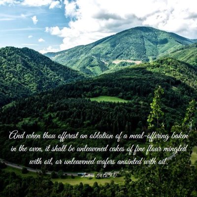 Picture 03 - Leviticus 2:4 ASV - And when thou offerest an oblation of a - Bible Verse Picture