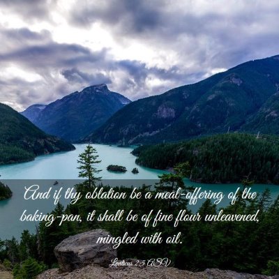 Picture 03 - Leviticus 2:5 ASV - And if thy oblation be a meal-offering of the - Bible Verse Picture