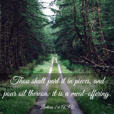 Picture 03 - Leviticus 2:6 ASV - Thou shalt part it in pieces, and pour oil - Bible Verse Picture