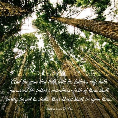 Picture 03 - Leviticus 20:11 ASV - And the man that lieth with his father's wife - Bible Verse Picture