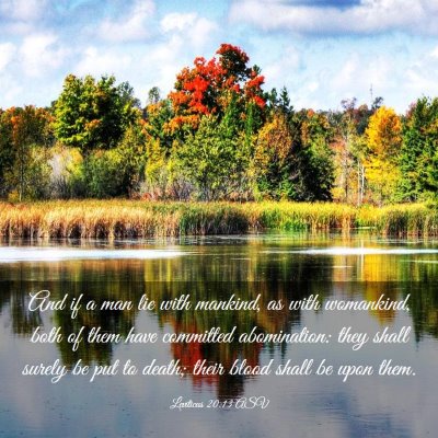 Picture 03 - Leviticus 20:13 ASV - And if a man lie with mankind, as with womankind, - Bible Verse Picture
