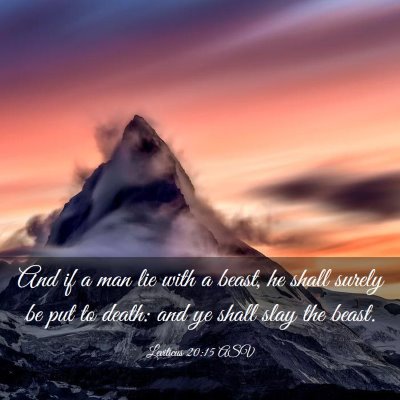 Picture 03 - Leviticus 20:15 ASV - And if a man lie with a beast, he shall surely be - Bible Verse Picture