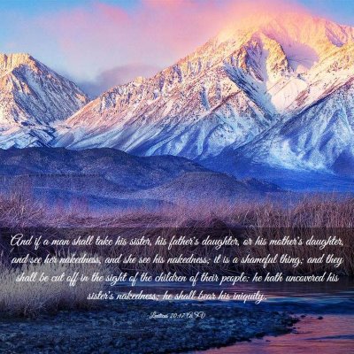 Picture 03 - Leviticus 20:17 ASV - And if a man shall take his sister, his father's - Bible Verse Picture