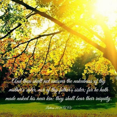 Picture 03 - Leviticus 20:19 ASV - And thou shalt not uncover the nakedness of thy - Bible Verse Picture