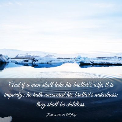 Picture 03 - Leviticus 20:21 ASV - And if a man shall take his brother's wife, it is - Bible Verse Picture