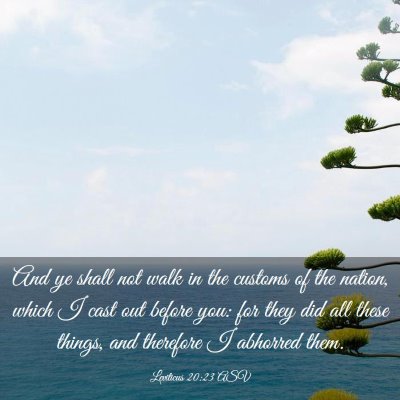 Picture 03 - Leviticus 20:23 ASV - And ye shall not walk in the customs of the - Bible Verse Picture