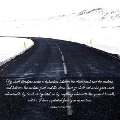 Picture 03 - Leviticus 20:25 ASV - Ye shall therefore make a distinction between the - Bible Verse Picture